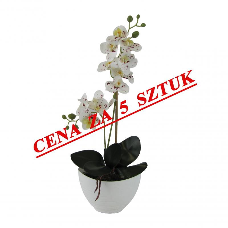 Sztuczne storczyki x2 w doniczce 55cm białe z kropkami (5 szt.)